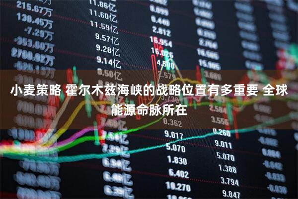 小麦策略 霍尔木兹海峡的战略位置有多重要 全球能源命脉所在