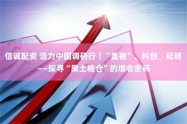 信诚配资 活力中国调研行｜“盖被”、科创、延链——探寻“黑土粮仓”的增收密码