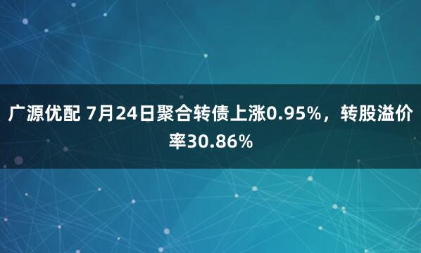 广源优配 7月24日聚合转债上涨0.95%，转股溢价率30.86%