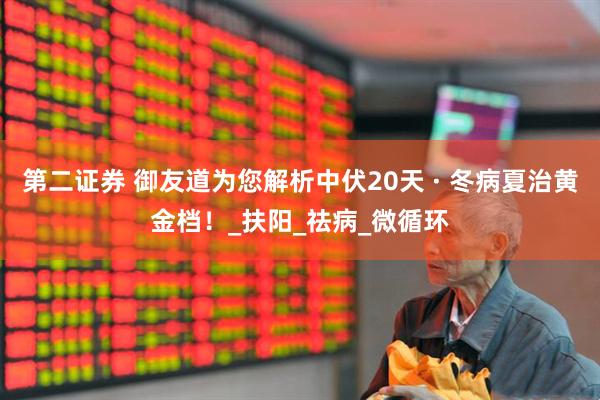 第二证券 御友道为您解析中伏20天 · 冬病夏治黄金档！_扶阳_祛病_微循环