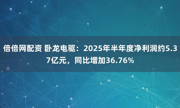 倍倍网配资 卧龙电驱：2025年半年度净利润约5.37亿元，同比增加36.76%