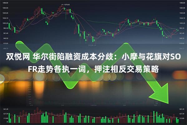 双悦网 华尔街陷融资成本分歧：小摩与花旗对SOFR走势各执一词，押注相反交易策略